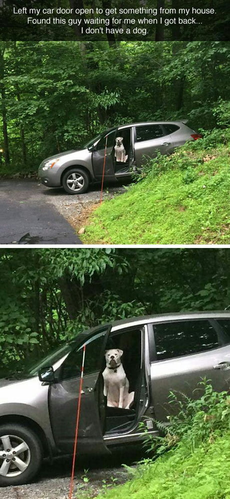 Never Left Your Car Door Open 9gag
