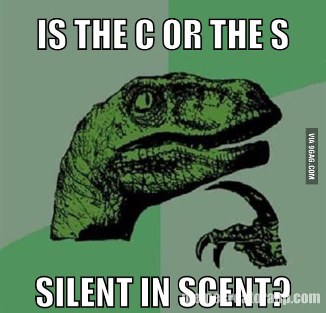 is-the-c-or-the-s-silent-in-scent-9gag