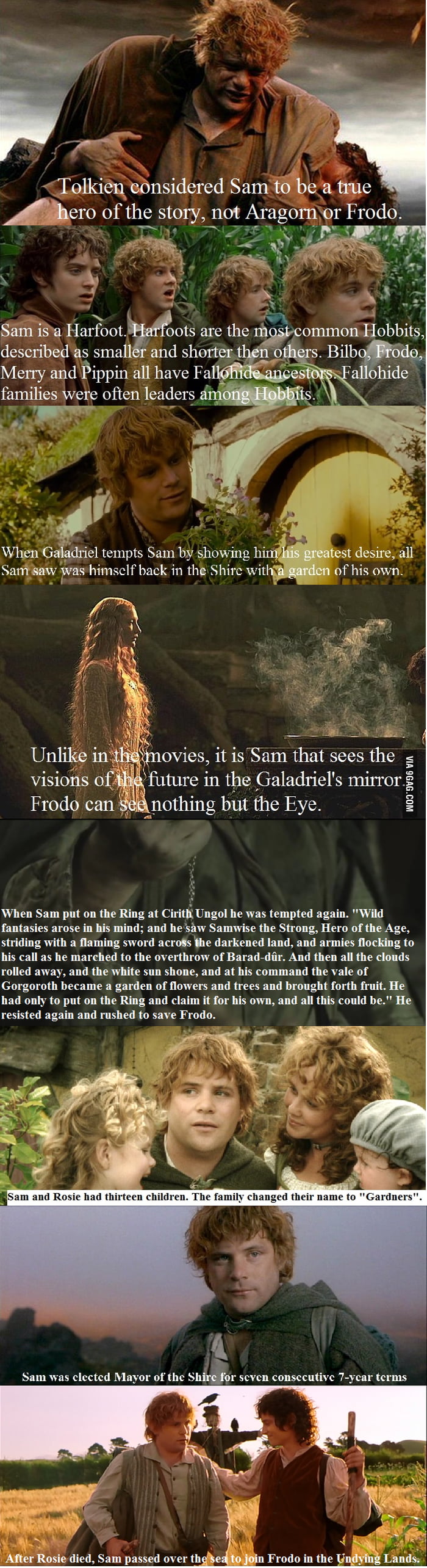 8 Samwise Gamgee facts you may not have known - 9GAG, image size:700x2568