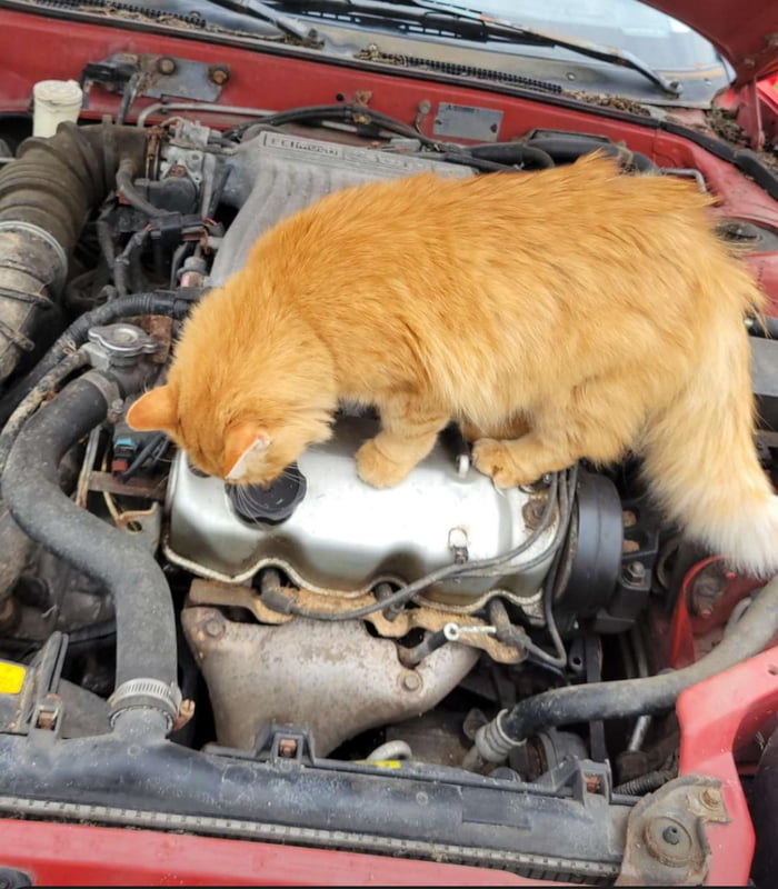 Car mechanic - 9GAG