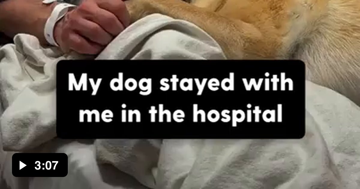 Loyal dog refuses to leave his dad's hospital bed — now they work out ...