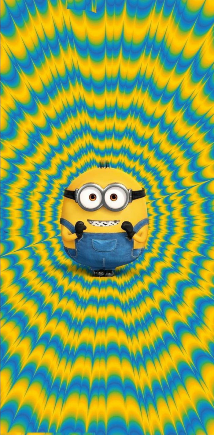 Bob wallpaper - 9GAG