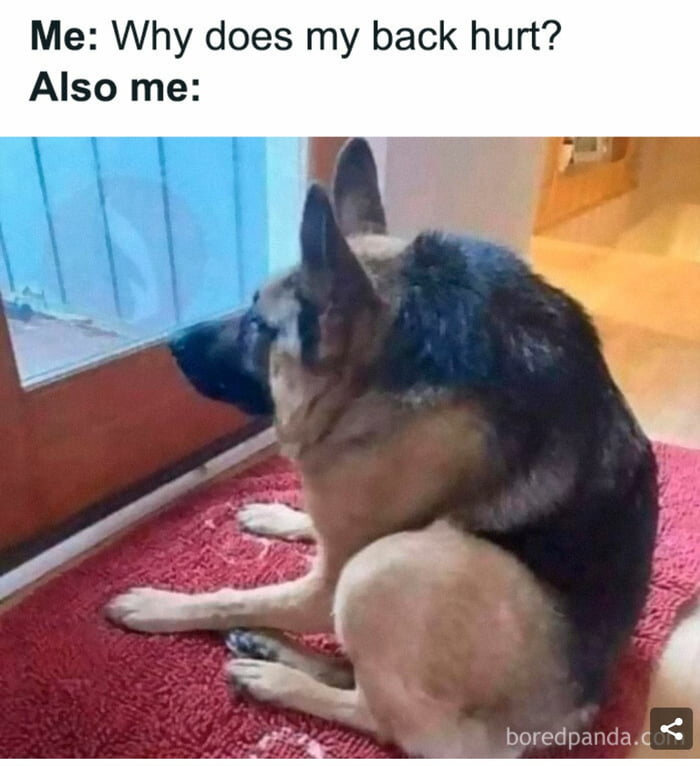 Why does my back hurt - 9GAG