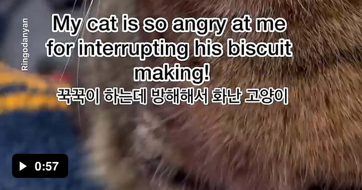 So ferocious - 9GAG