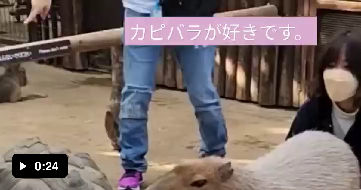 What Animal Is This 9GAG what-animal-is-this-9gag