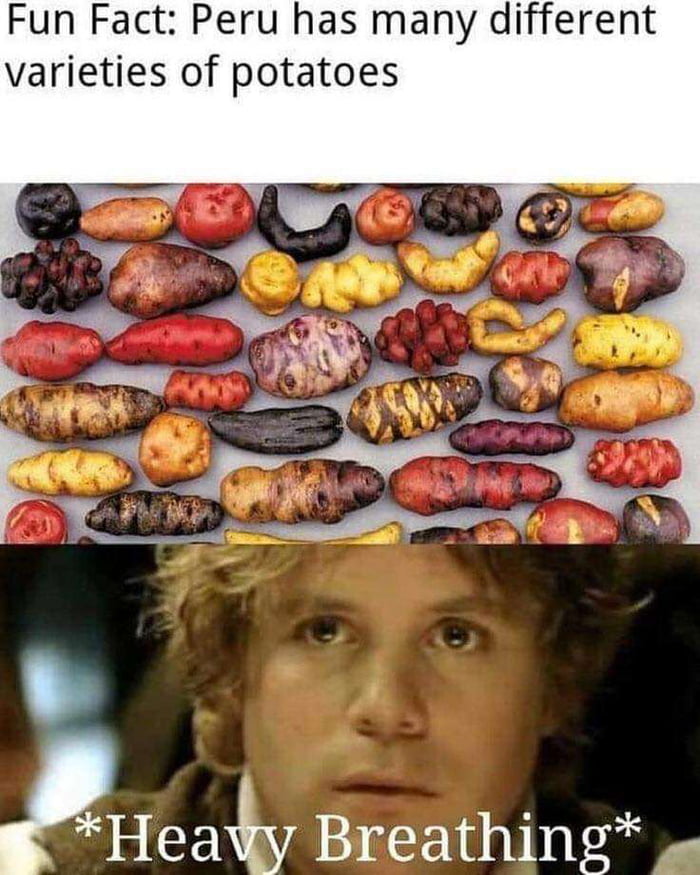 Plenty of potatoes, no need to add another one 9GAG