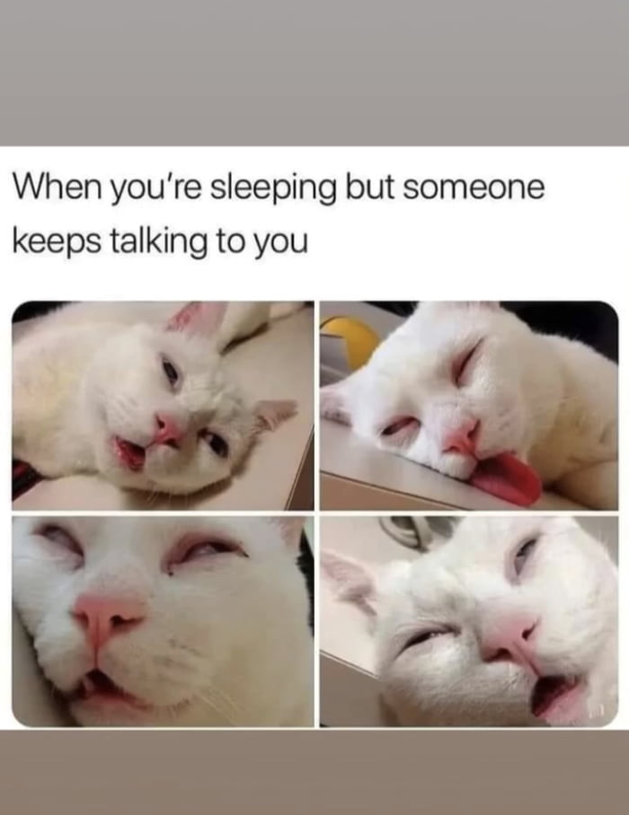 too-much-talking-will-make-me-sleep-9gag