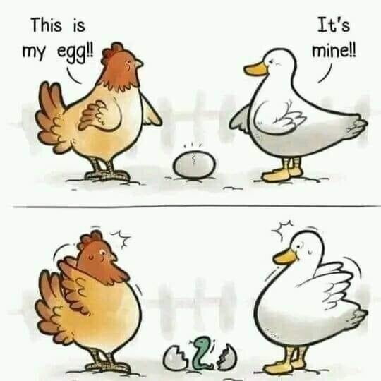 Not all eggs are same! - 9GAG