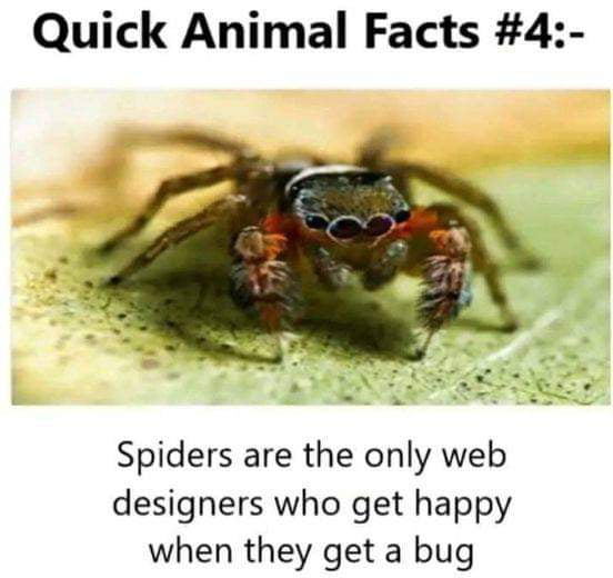 The More You Know 9gag