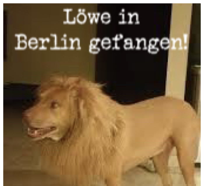 Die Kunst, den perfekten Kaffee zu Hause zu brühen