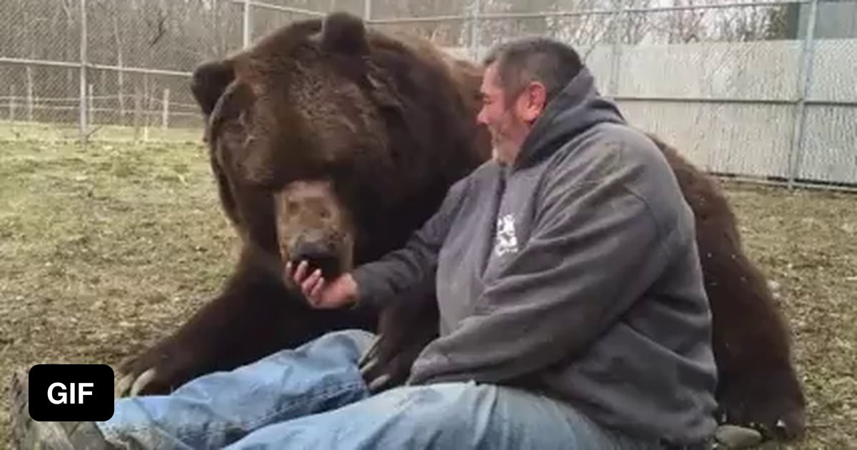 Orphaned bear cuddling with his human - 9GAG