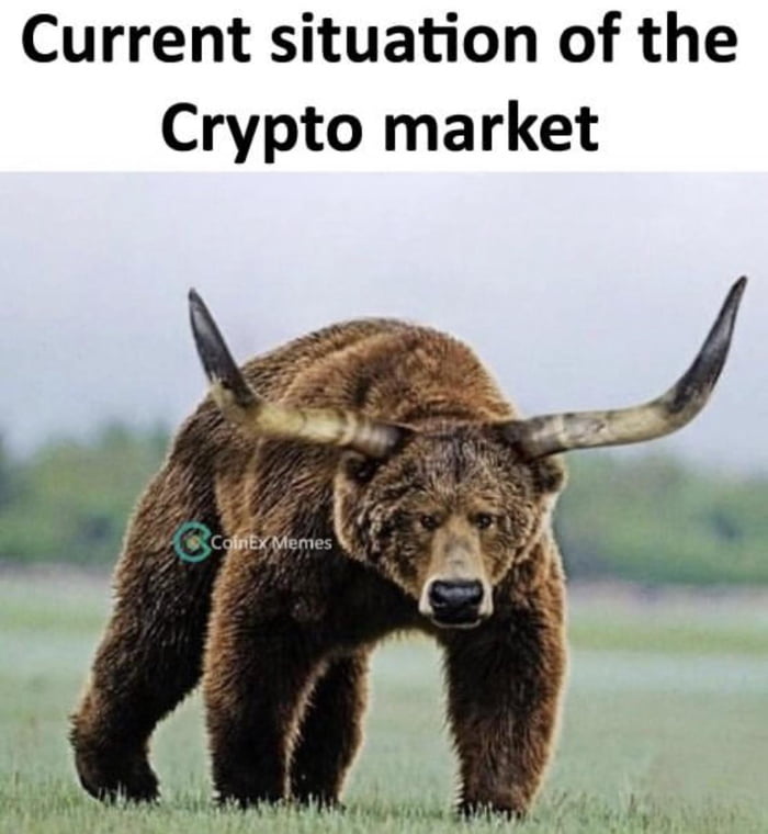 Are You Bearish Or Bullish Gag