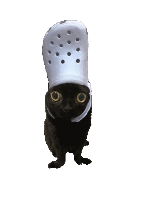 This Is A Cat Wearing A Croc As A Hat Jinx The Cat 9gag 5813