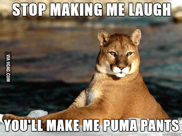 This Is So Stupid 9gag