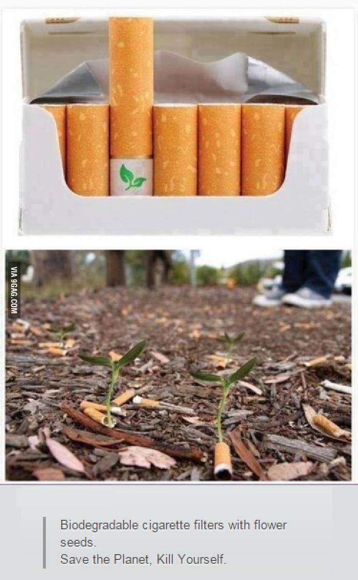 Biodegradable cigarette filters with flower seeds 9GAG