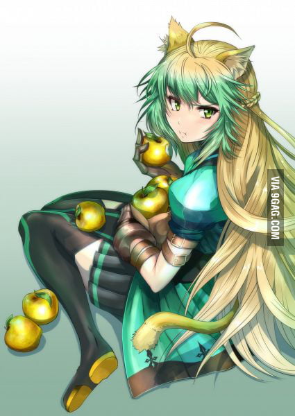 Fate Apocrypha Archer of Red Atalanta •﹏• - 9GAG