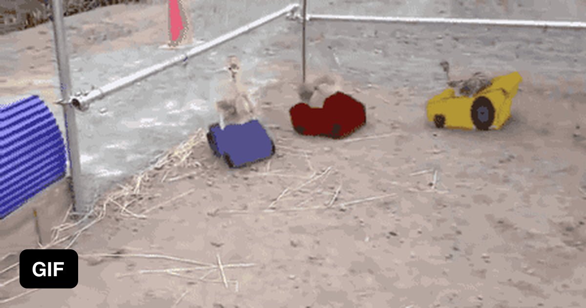 When you have too much free time - 9GAG