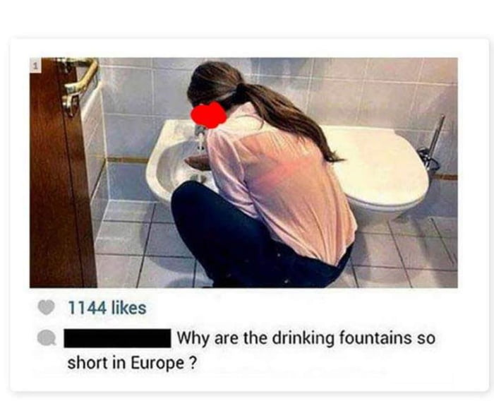 Картинка без комментариев смешная. Reasons for travelling. Why прикол. Like is mad. To figure out.