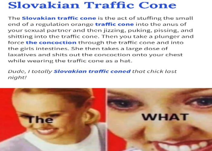 2,438 points * 110 comments - Slovakian Traffic Cone - 9GAG has the best fu...