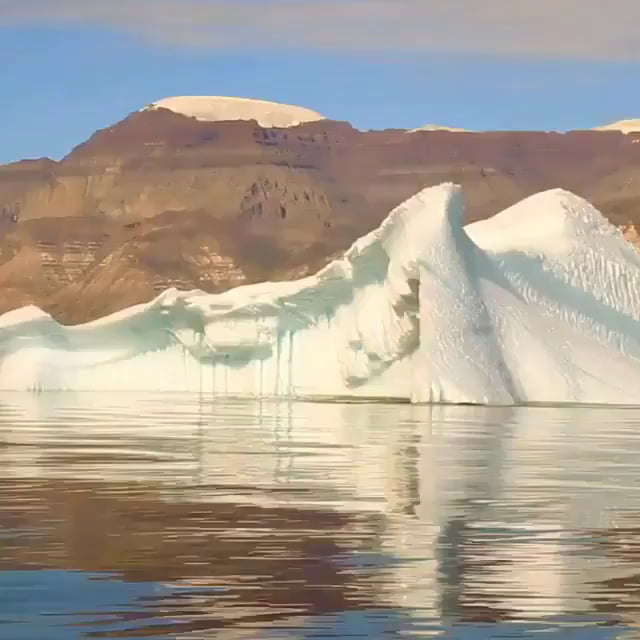 iceberg rolls near me