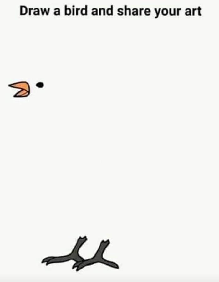 Draw A Bird And Share Your Art 9gag