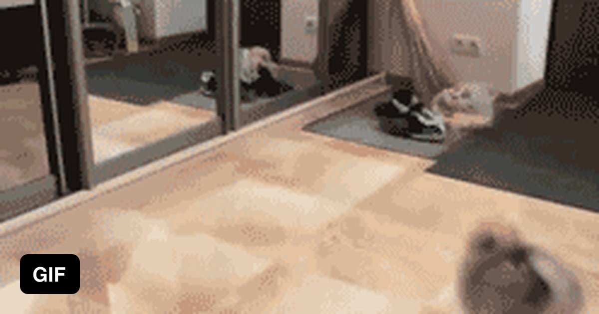 Hot Dog Hallway Gif