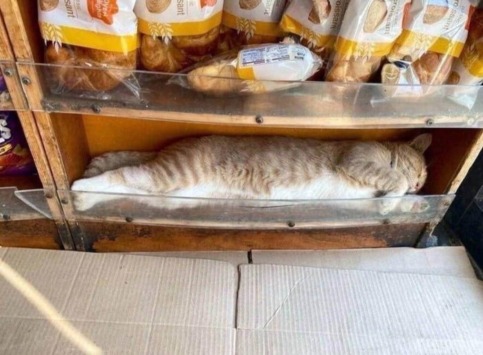 The sweetest bread in the store - 9GAG