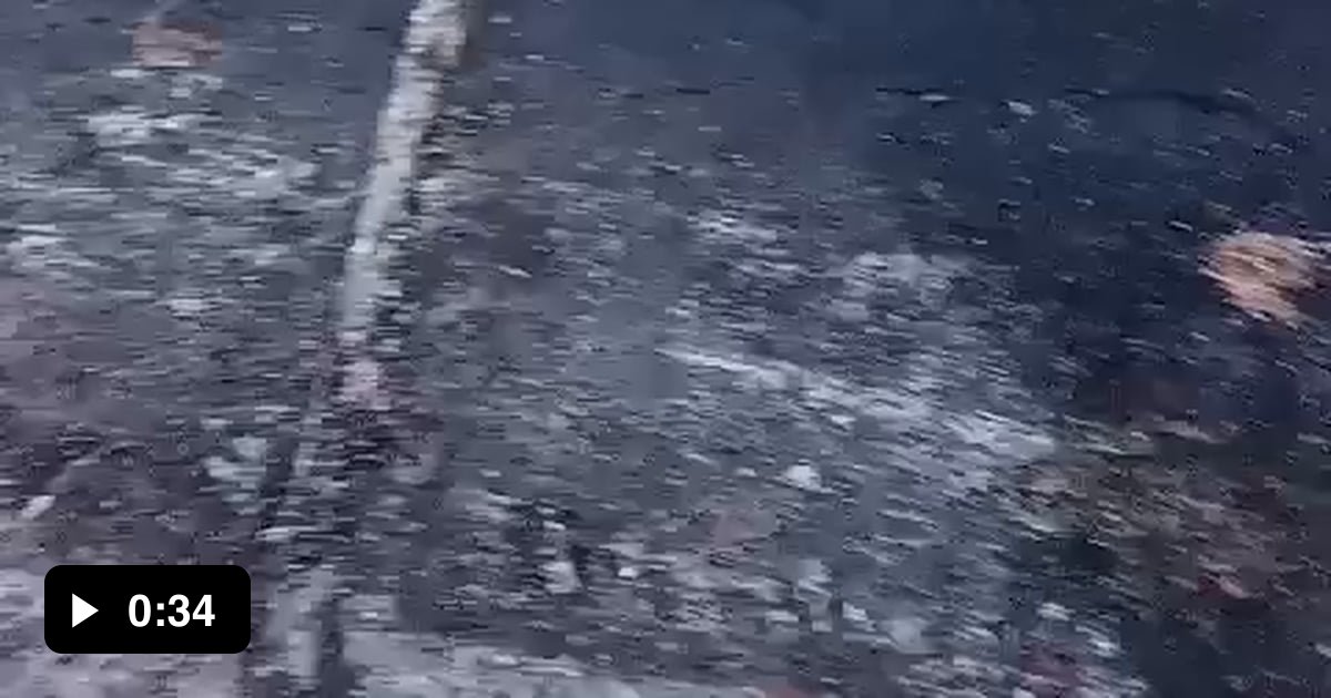 A truck carrying eggs overturned - 9GAG