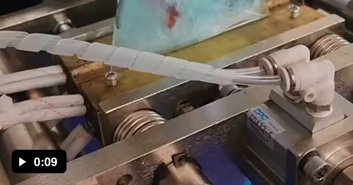 Automatic fish bagging machine? - 9GAG