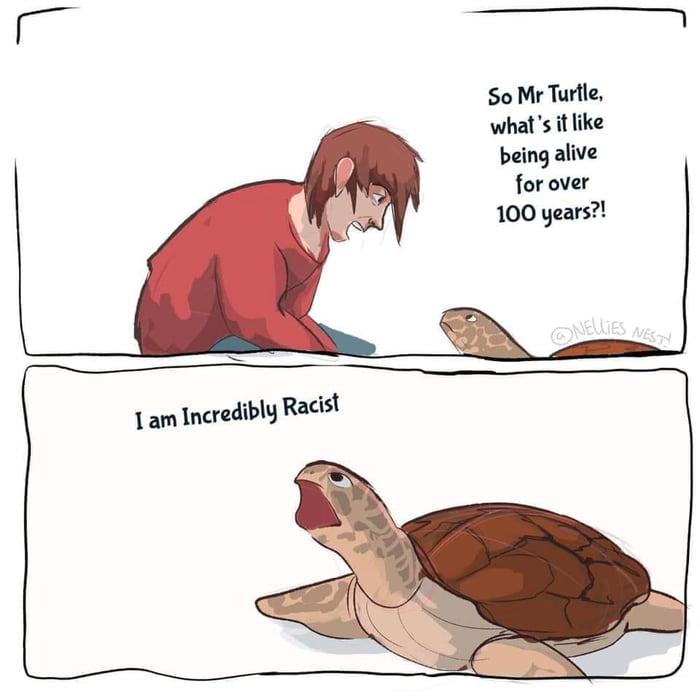 Im the turtle - 9GAG