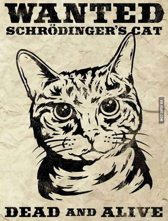 That was a thing - 9GAG