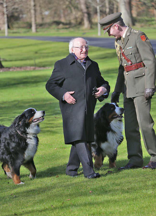 the-president-of-ireland-with-his-dogs-9gag