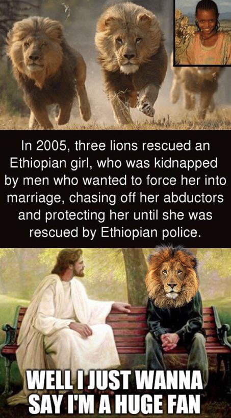 some-most-animals-are-better-than-humans-9gag