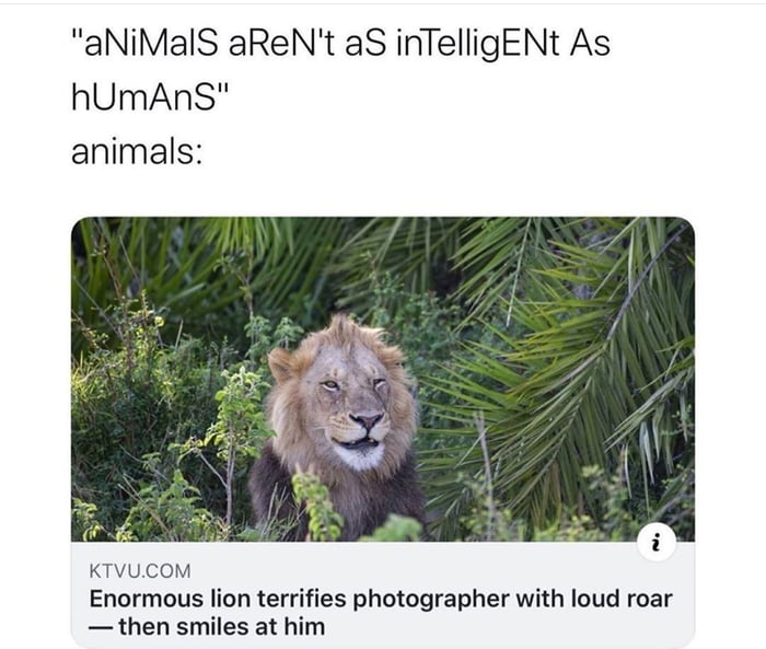 This never fails to make me smile - 9GAG