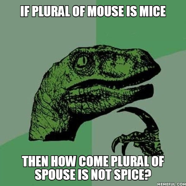 if-plural-of-mouse-is-mice-then-how-come-plural-of-spouse-is-not-spice