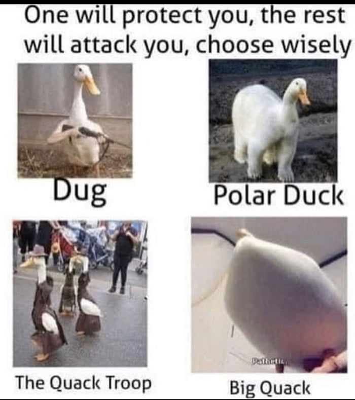 Big Quack for me - 9GAG