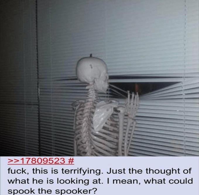What could spook the spooker? - 9GAG