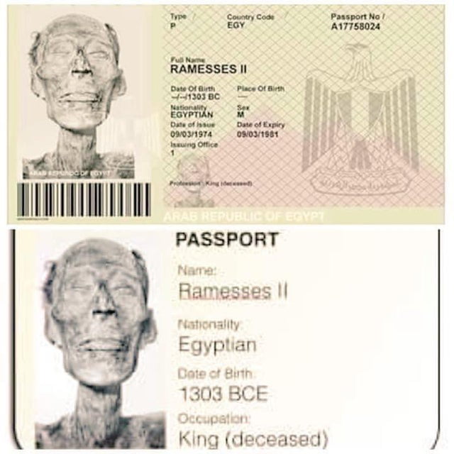 Ramses 2 Passport - Ramesses Ii Passport For Remains Transported From Egypt To Uk 9gag