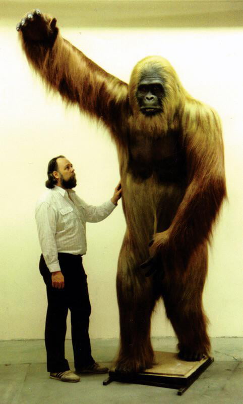 Gigantopithecus Blacki The Largest Ape In History That Went Extinct Around 300 000 Years Ago Humans And Giganto Lived Amongst Each Other 9gag
