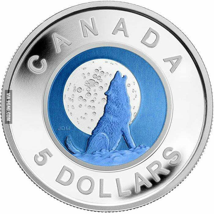 New Canadian 5 dollar coin set for 2017 - 9GAG