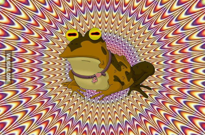 Ignore all the other posts.. Upvote Hypnotoad - 9GAG