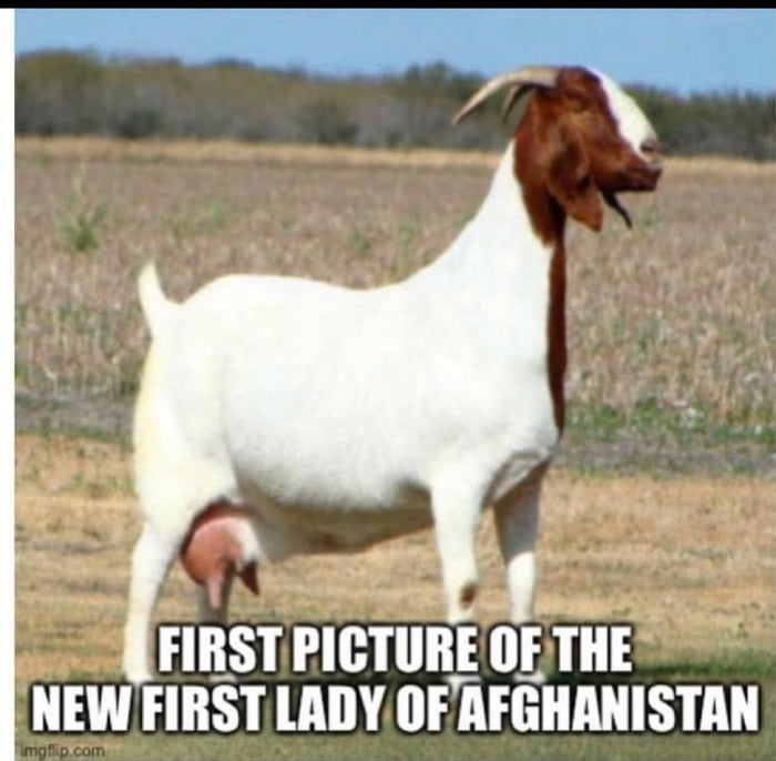 Mehhh - 9GAG