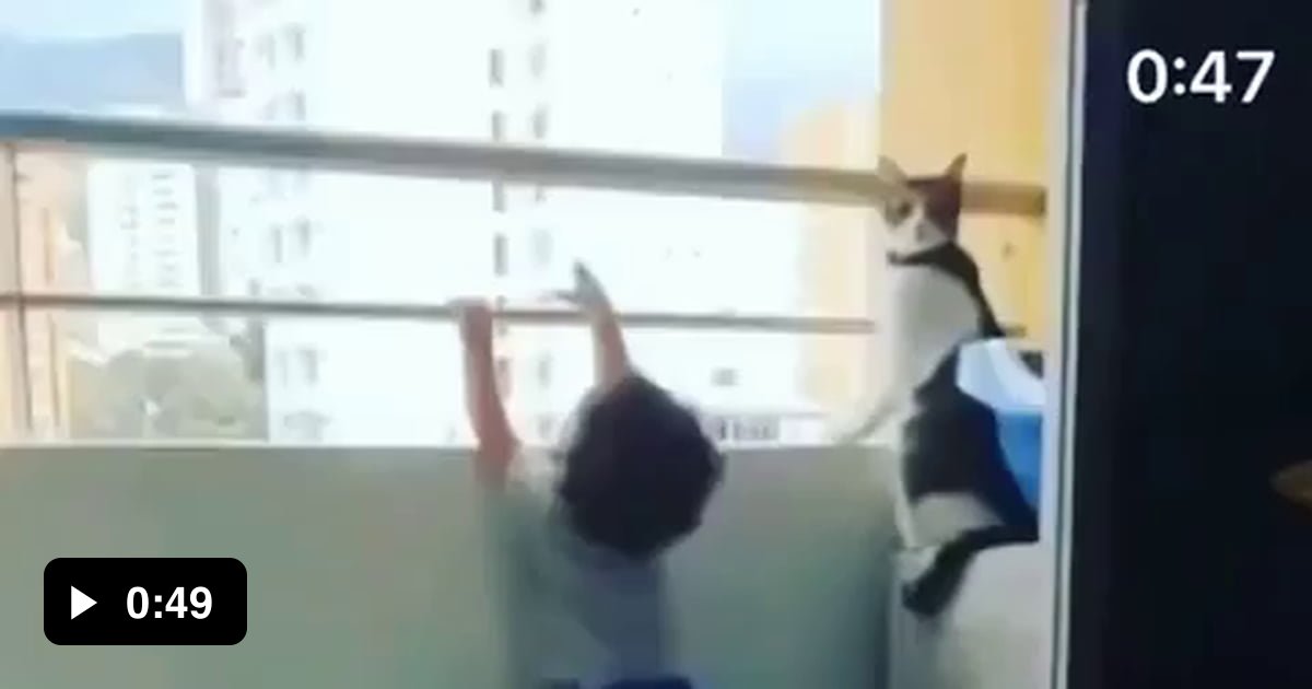 Cat preventing kid from climbing up to balcony ledge 9GAG