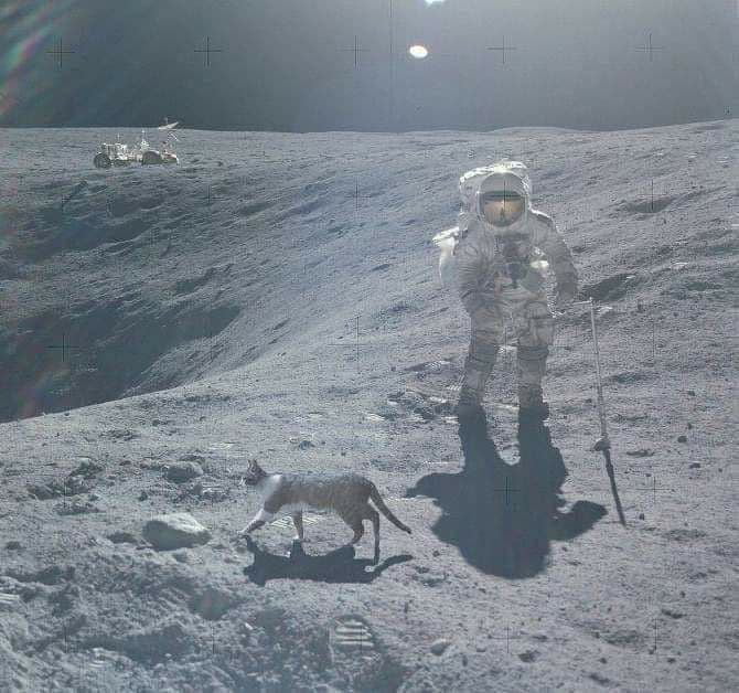 NASA Tried To Hid This Picture Neil Armstrong First Encounter With The Moon s Owner 1969 9GAG