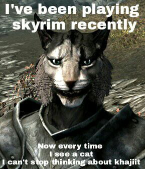 khajiit does not play these games