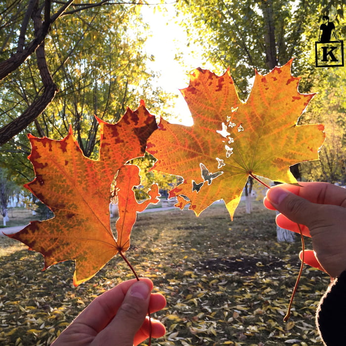 Real tree leaf carved by me 9GAG