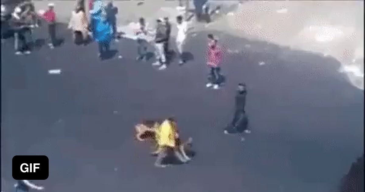 An idiot throwing bricks at dogs 9GAG