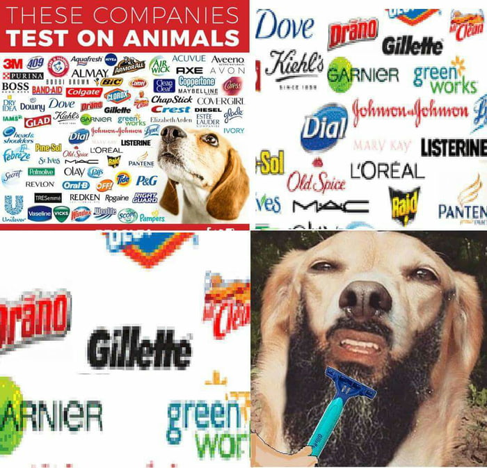 Top 178 + What companies test on animals - Lestwinsonline.com