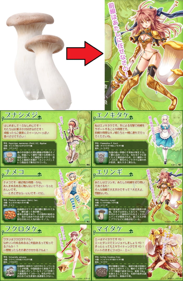 Mushroom Waifus 9gag