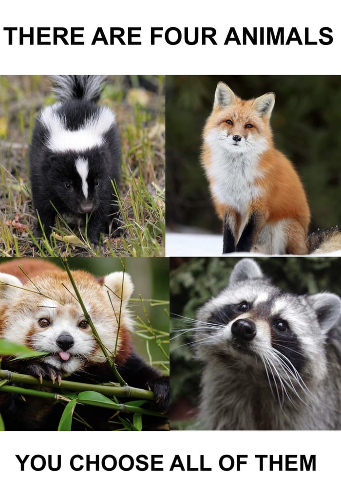 They are your friends now take good care of them 9gag